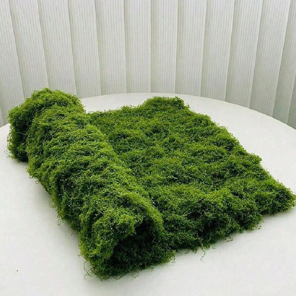 1*1m Fake Moss DIY Crafts Gras - Sphagnum Moss Dry บทวิจารณ์และราคา