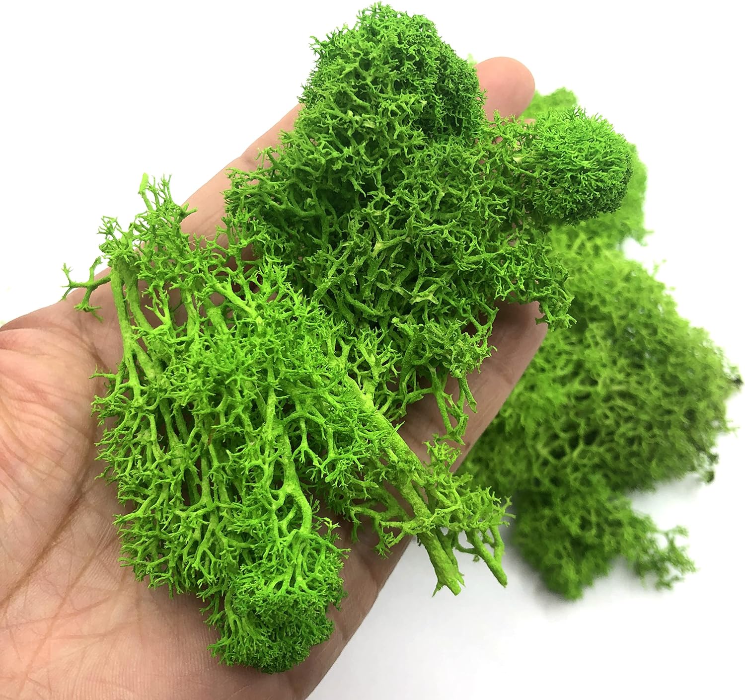 200g Artificial Green Plants M - Sphagnum Moss Dry บทวิจารณ์และราคา