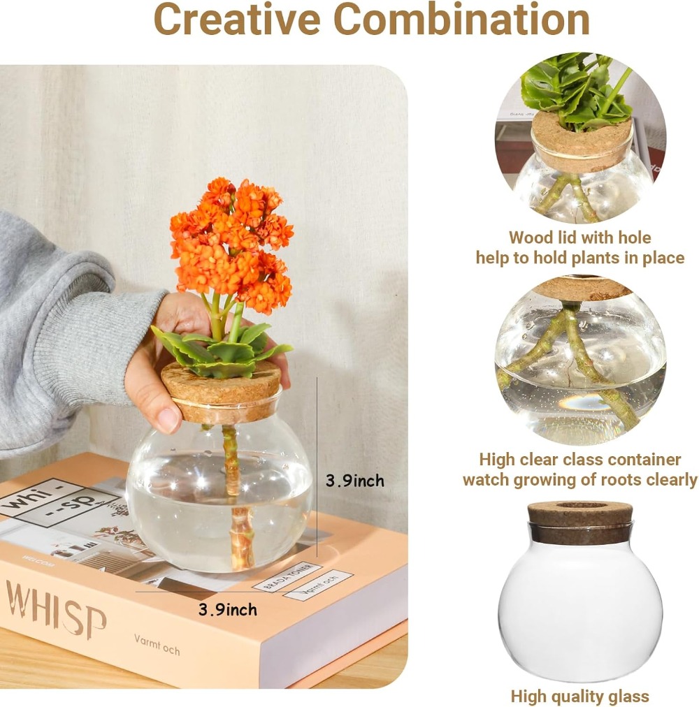 Hydroponic Plant Propagation S - Propagation Station Vase บทวิจารณ์และราคา