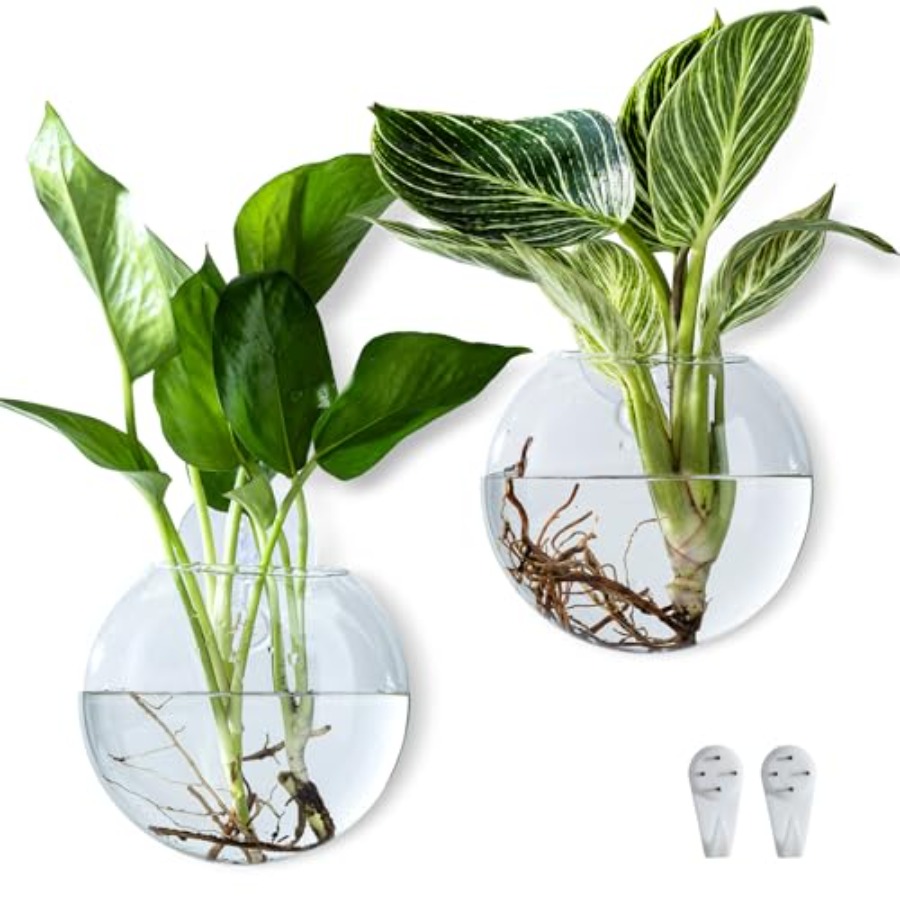 Wall Hanging Planter Propagati - Propagation Station Vase บทวิจารณ์และราคา