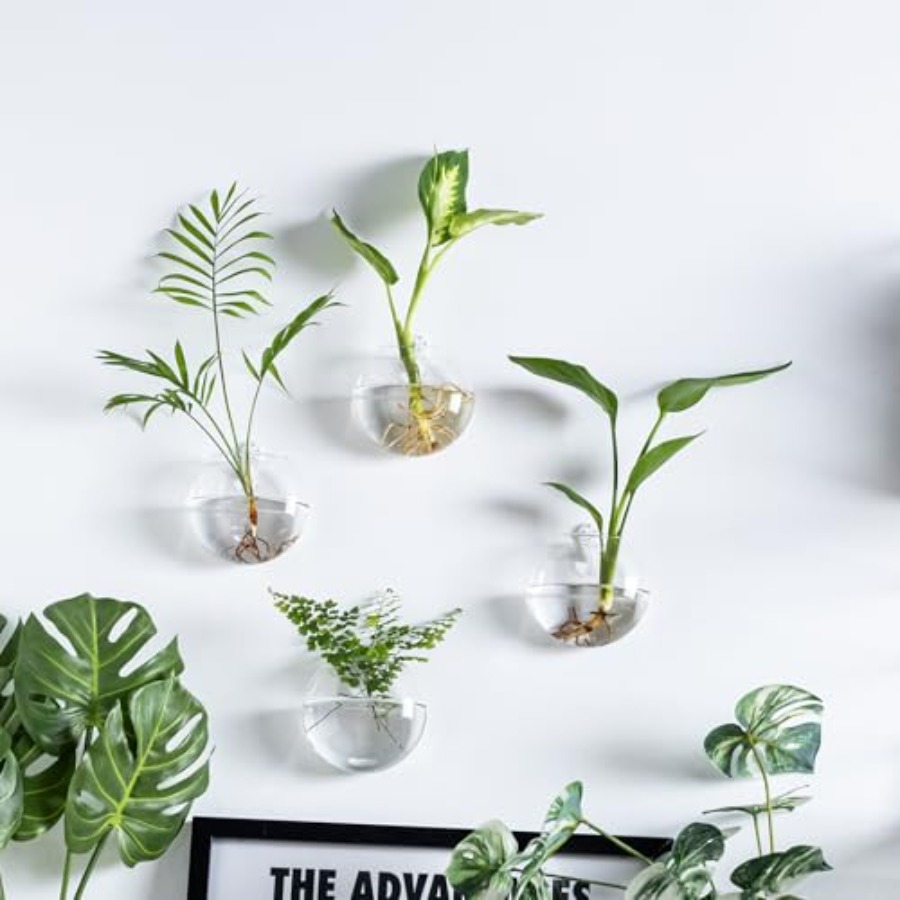Wall Hanging Planter Propagati - Propagation Station Vase บทวิจารณ์และราคา