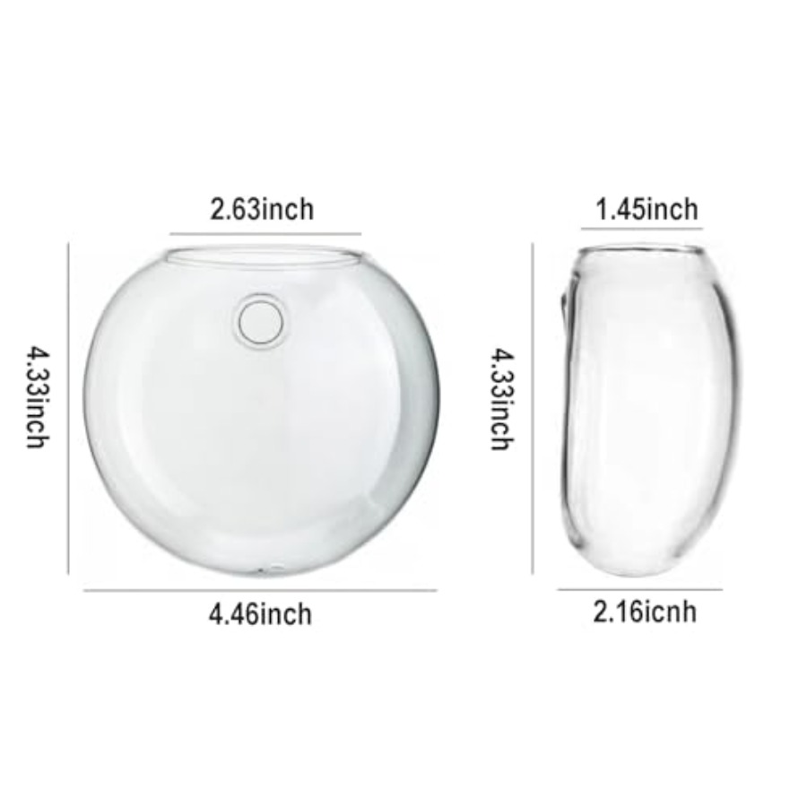 Wall Hanging Planter Propagati - Propagation Station Vase บทวิจารณ์และราคา