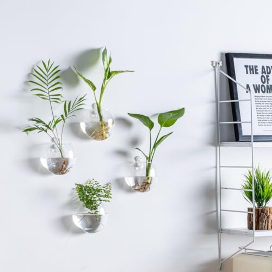 Wall Hanging Planter Propagati - Propagation Station Vase บทวิจารณ์และราคา