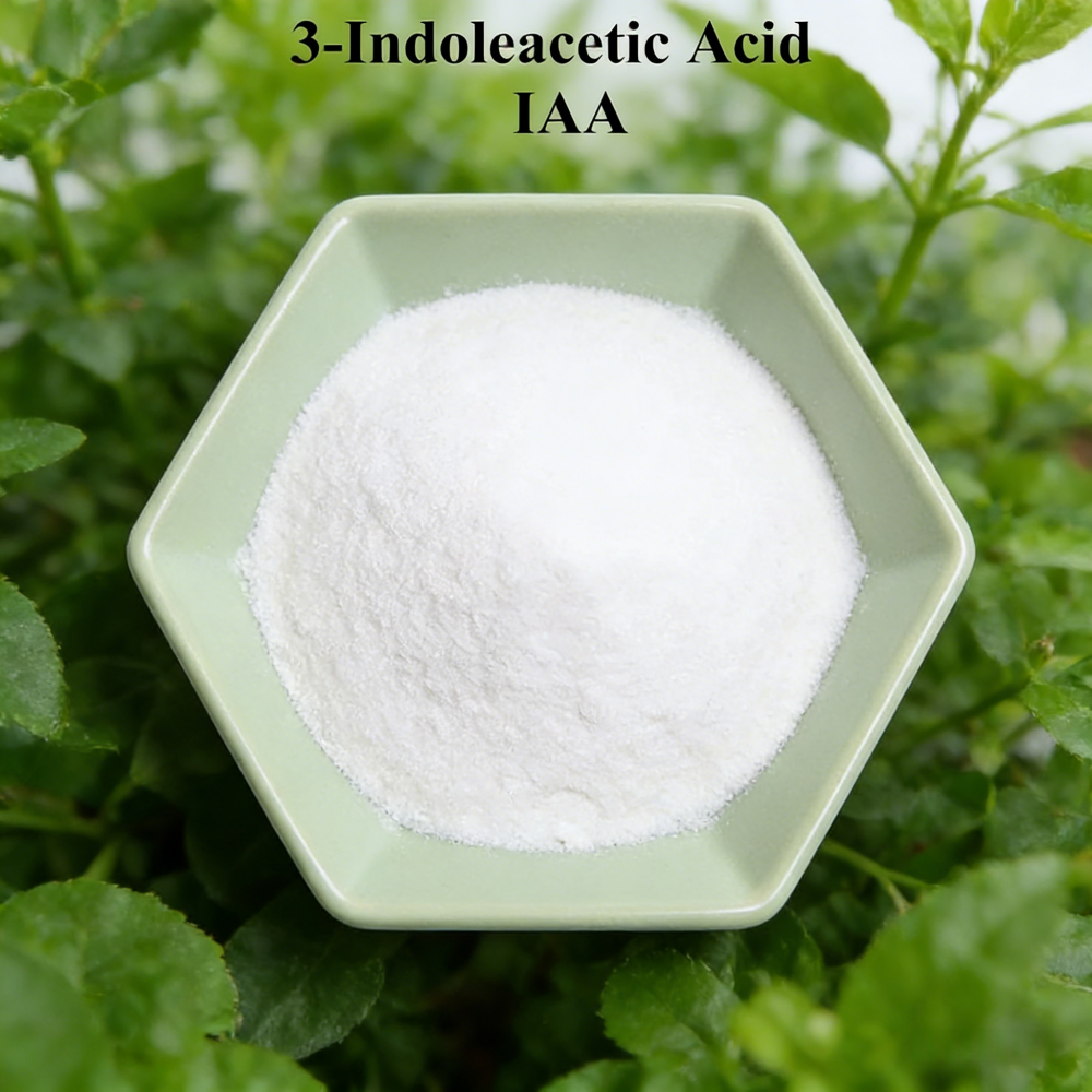 3-indoleacetic Acid IAA Auxina - Rooting Hormone Powder บทวิจารณ์และราคา
