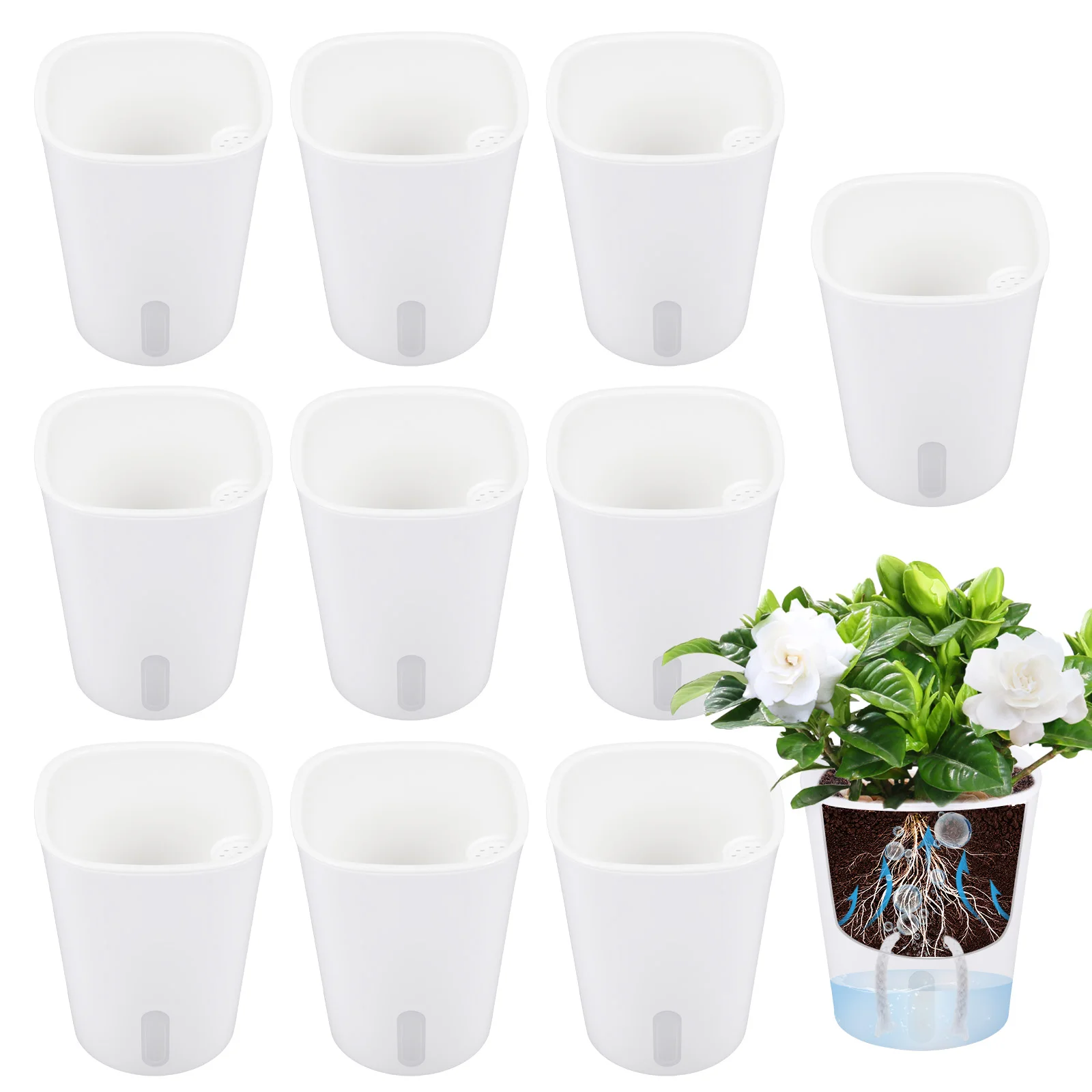 10 Pcs Self Watering Planter L - Self Watering Insert บทวิจารณ์และราคา