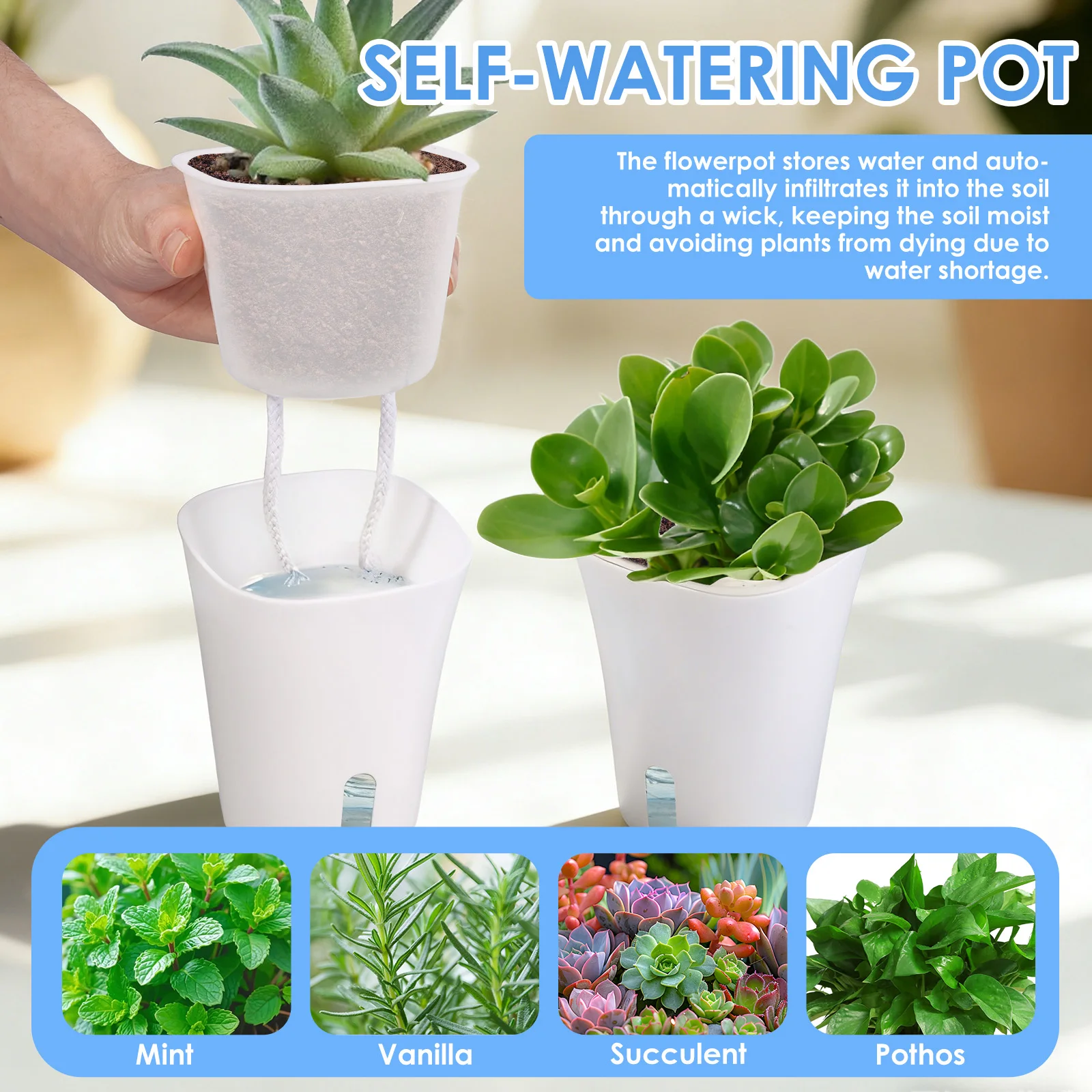 10 Pcs Self Watering Planter L - Self Watering Insert บทวิจารณ์และราคา
