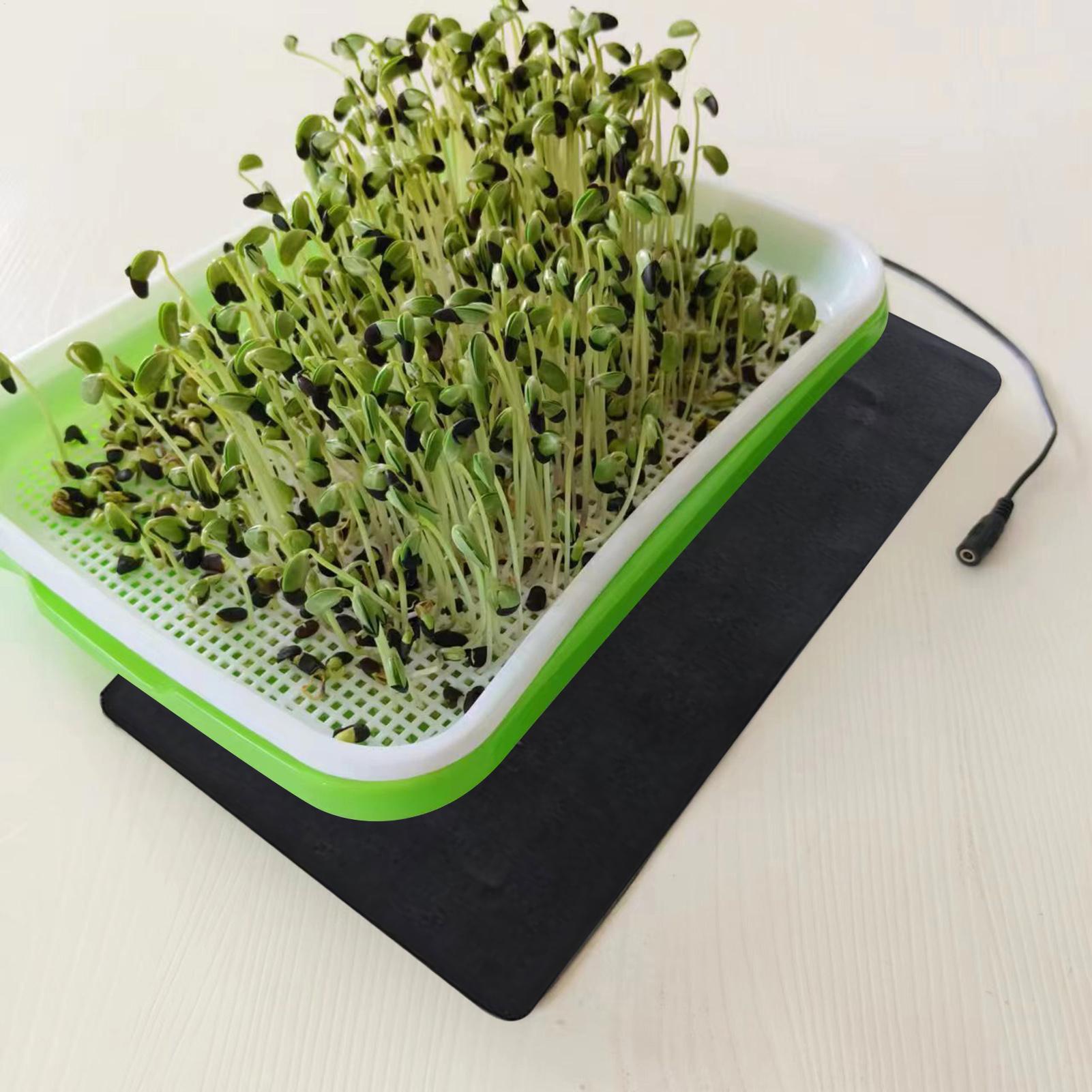8.5W Seedling Heat Mat 5V 2A P - Heat Mat Seedling บทวิจารณ์และราคา