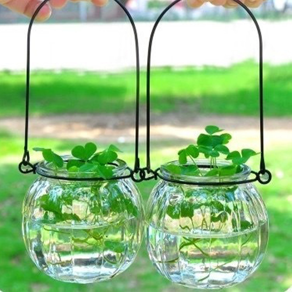 6Pcs Transparent Hanging Glass - Propagation Station Vase บทวิจารณ์และราคา