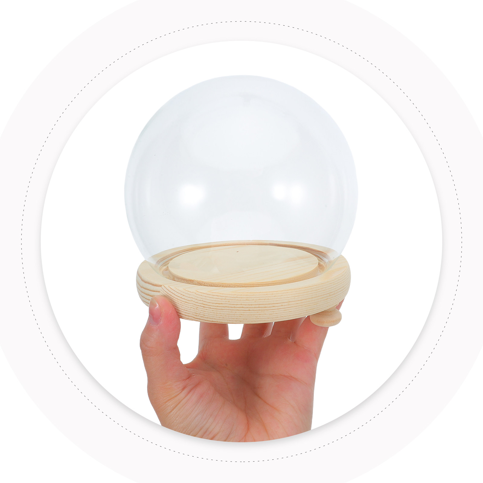 Preserved Flower Glass Dome El - Plastic Dome Clear บทวิจารณ์และราคา