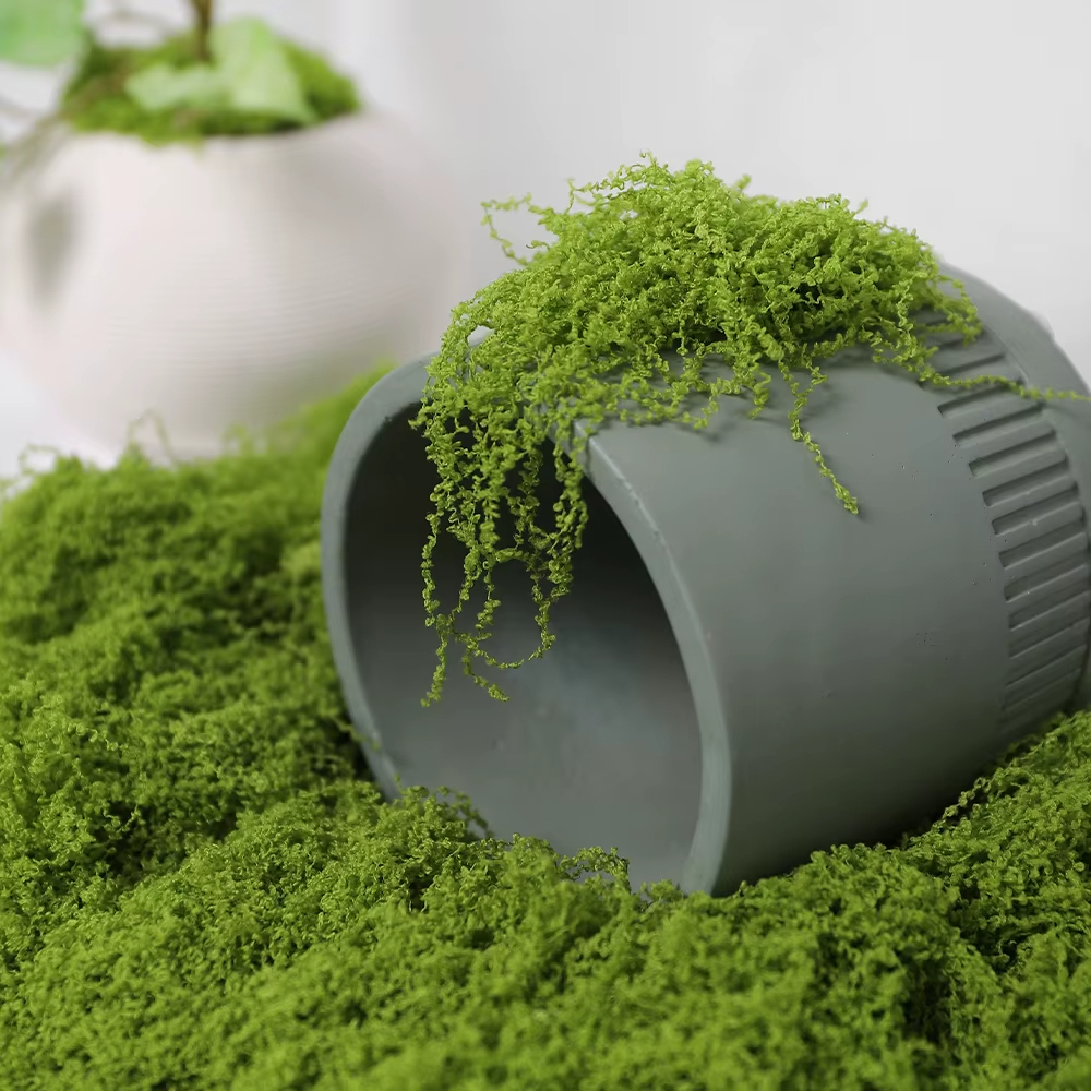 30/100g Artificial Green Plant - Sphagnum Moss Dry บทวิจารณ์และราคา