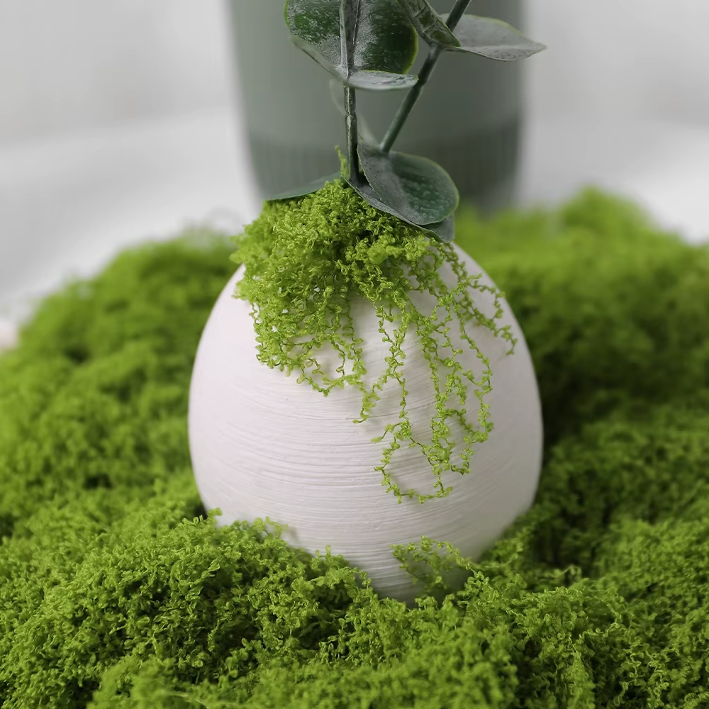30/100g Artificial Green Plant - Sphagnum Moss Dry บทวิจารณ์และราคา