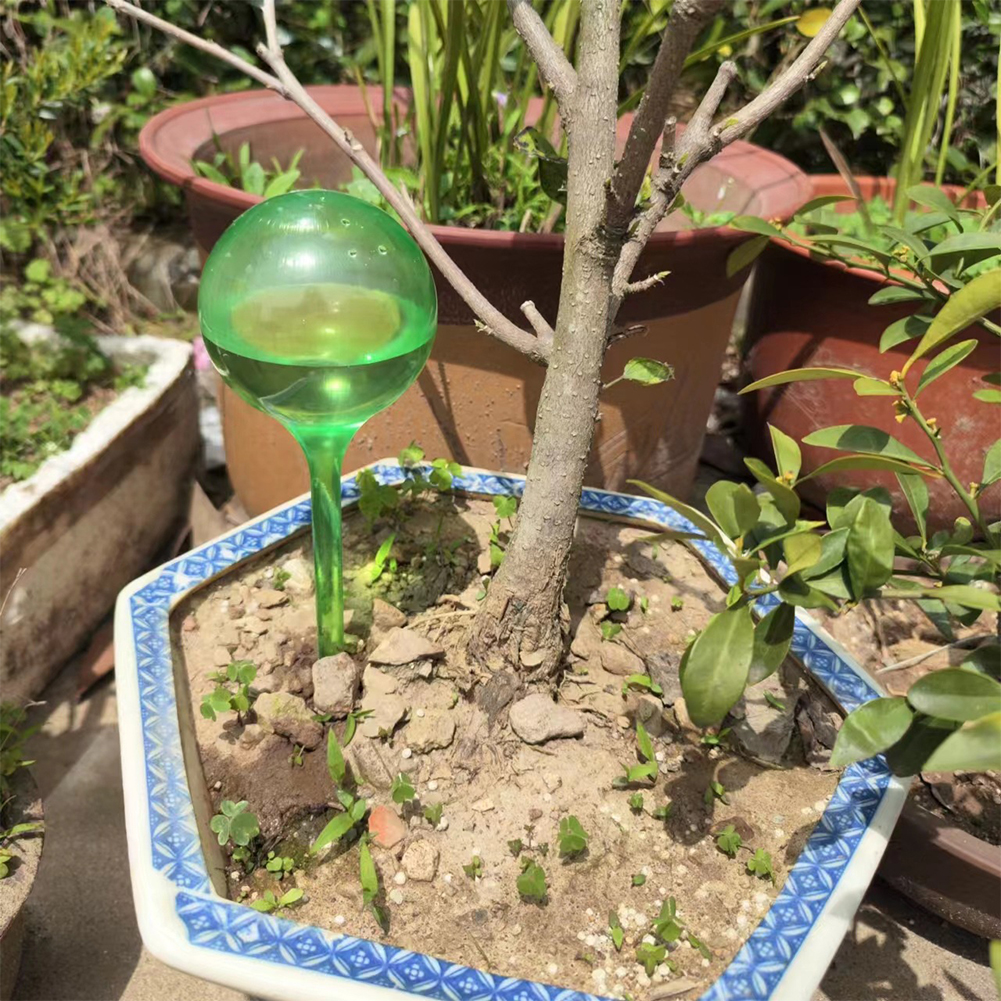 Automatic Plant Watering Bulbs - Self Watering Insert บทวิจารณ์และราคา