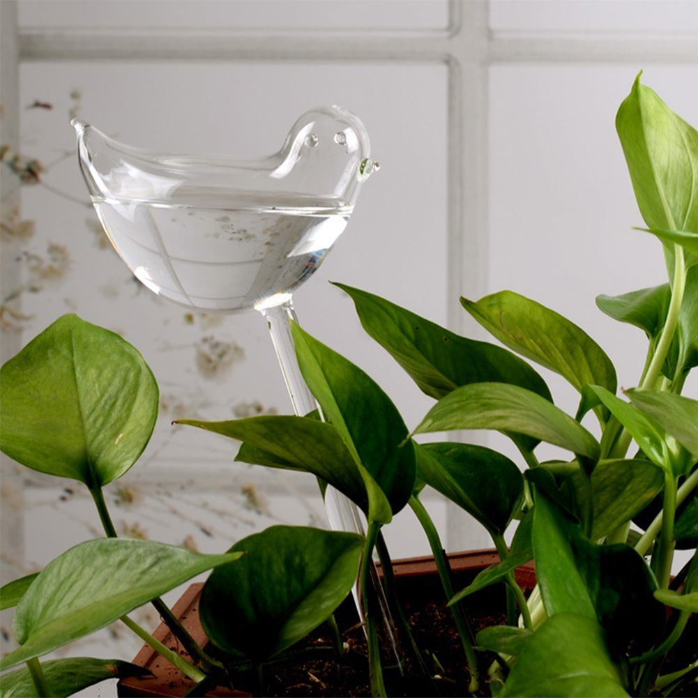 Automatic Plant Watering Bulbs - Self Watering Insert บทวิจารณ์และราคา