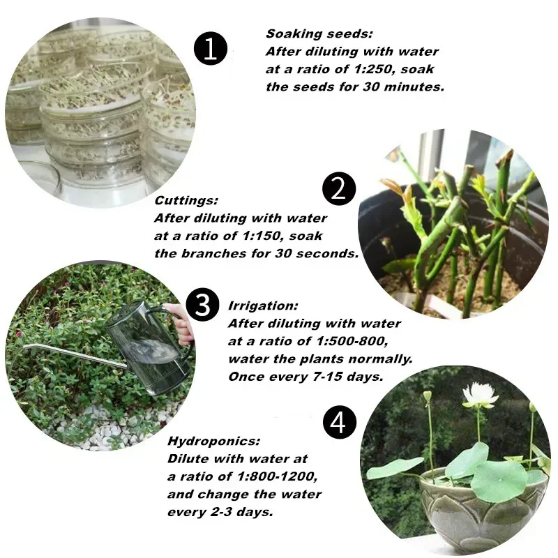 10g Quickly Rooting Powder Hor - Rooting Hormone Powder บทวิจารณ์และราคา