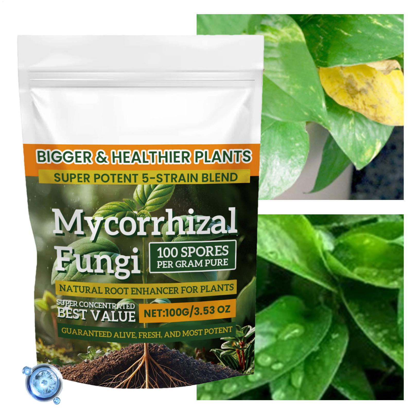 Plant Growth Enhancer Powder 1 - Rooting Hormone Powder บทวิจารณ์และราคา