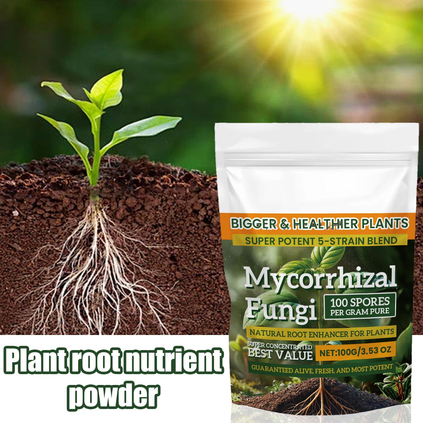 Plant Growth Enhancer Powder 1 - Rooting Hormone Powder บทวิจารณ์และราคา