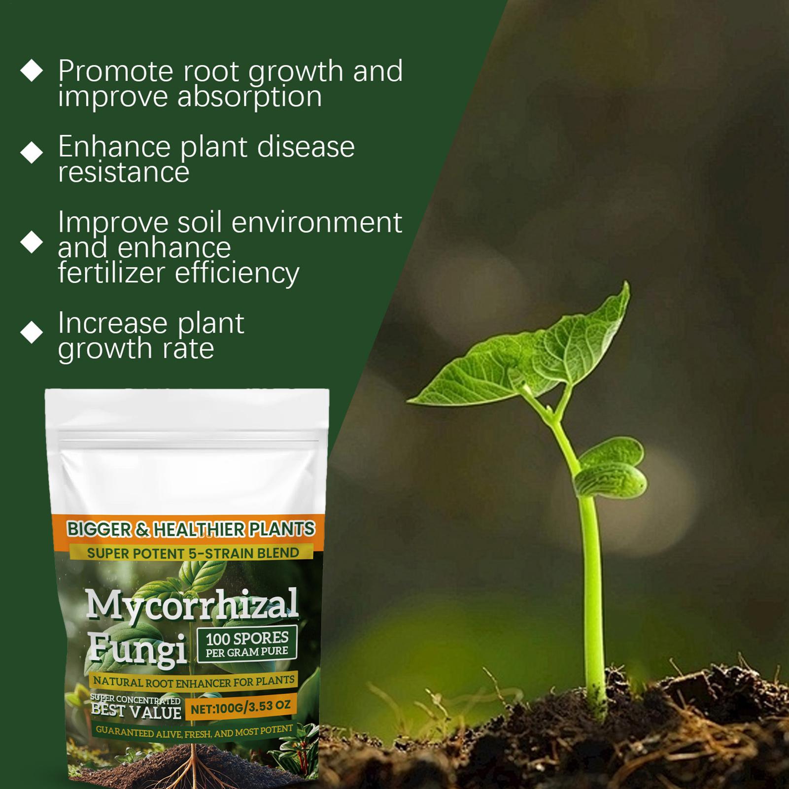 Plant Growth Enhancer Powder 1 - Rooting Hormone Powder บทวิจารณ์และราคา