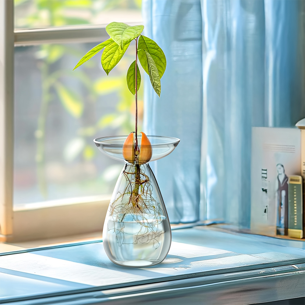Avocado Seed Starter Vase Tran - Propagation Station Vase บทวิจารณ์และราคา