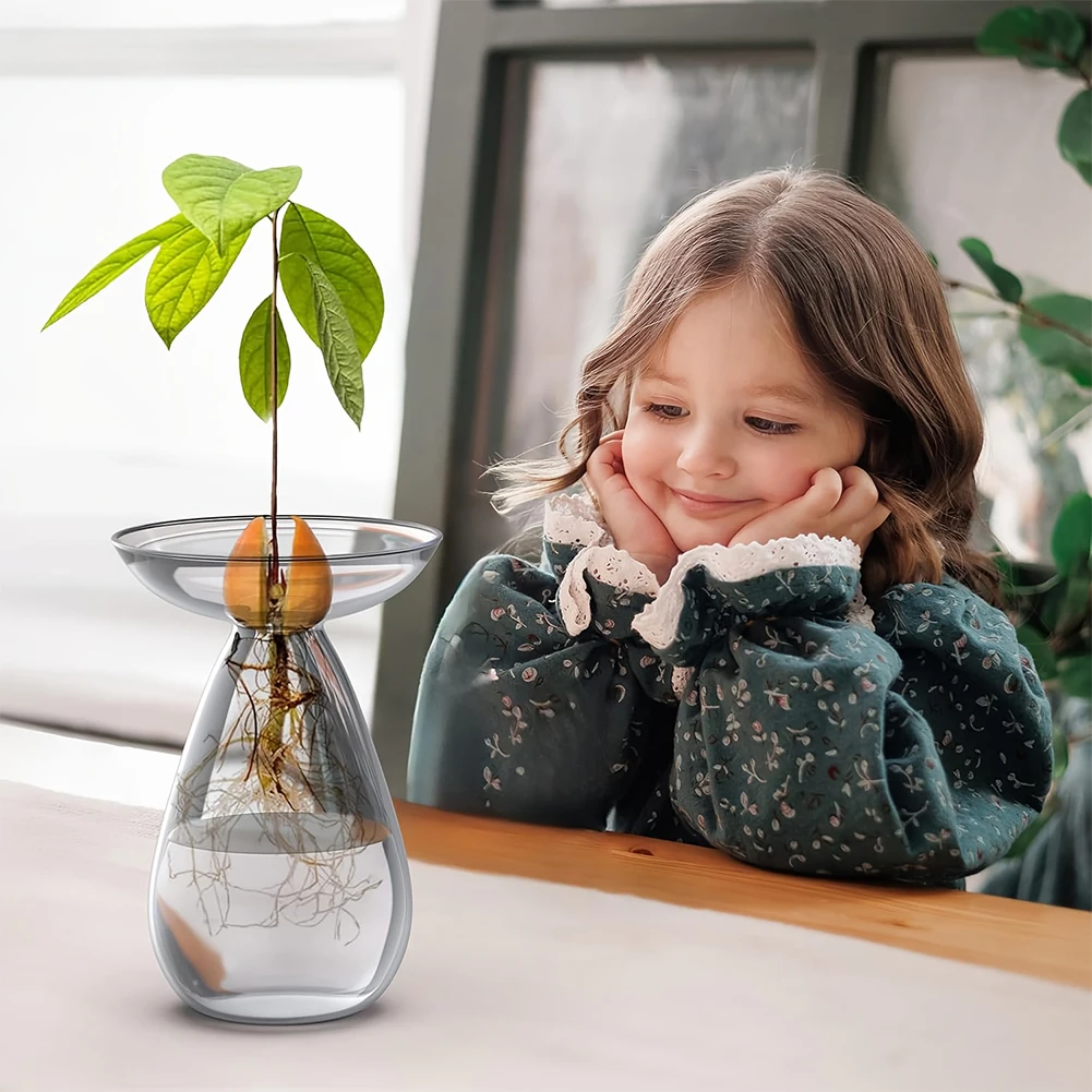 Avocado Seed Starter Vase Tran - Propagation Station Vase บทวิจารณ์และราคา