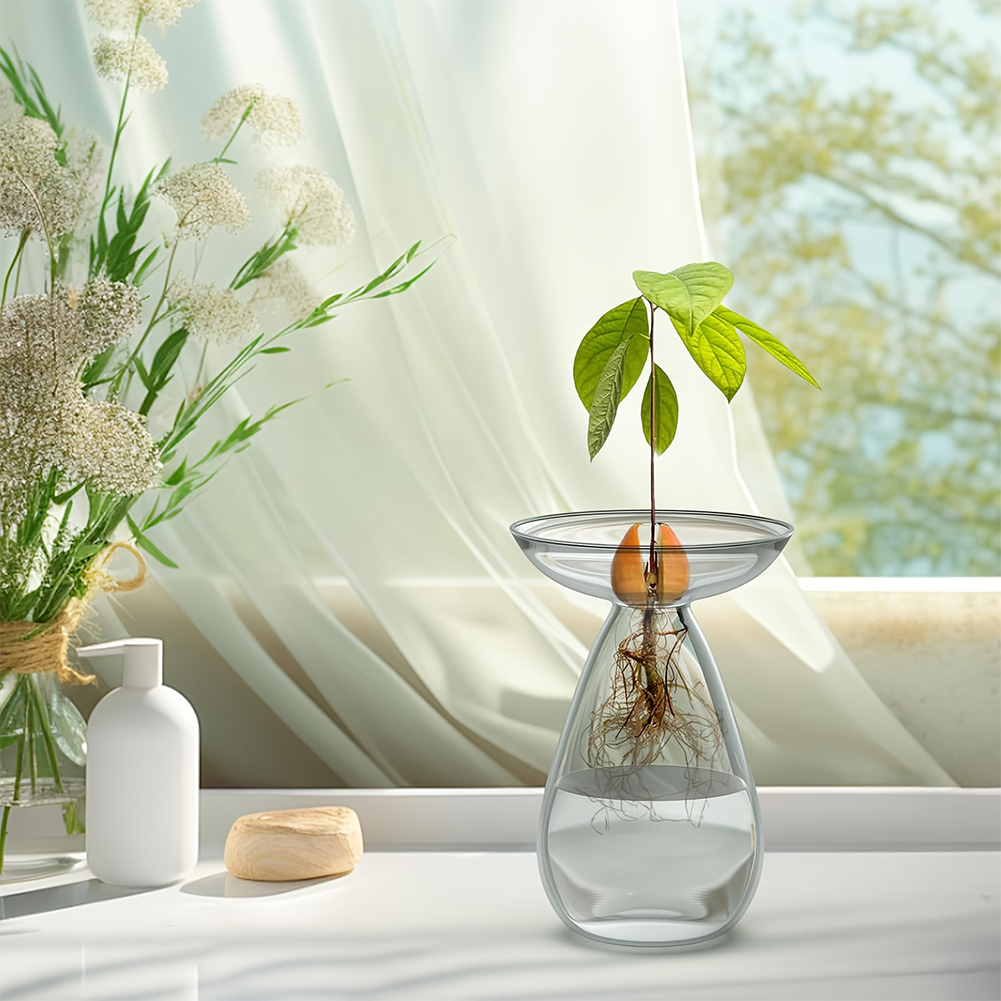 Avocado Seed Starter Vase Tran - Propagation Station Vase บทวิจารณ์และราคา
