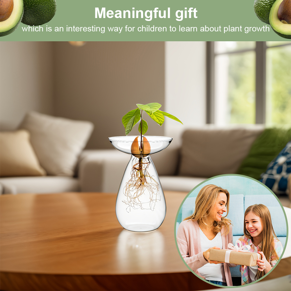 Avocado Seed Starter Vase Tran - Propagation Station Vase บทวิจารณ์และราคา