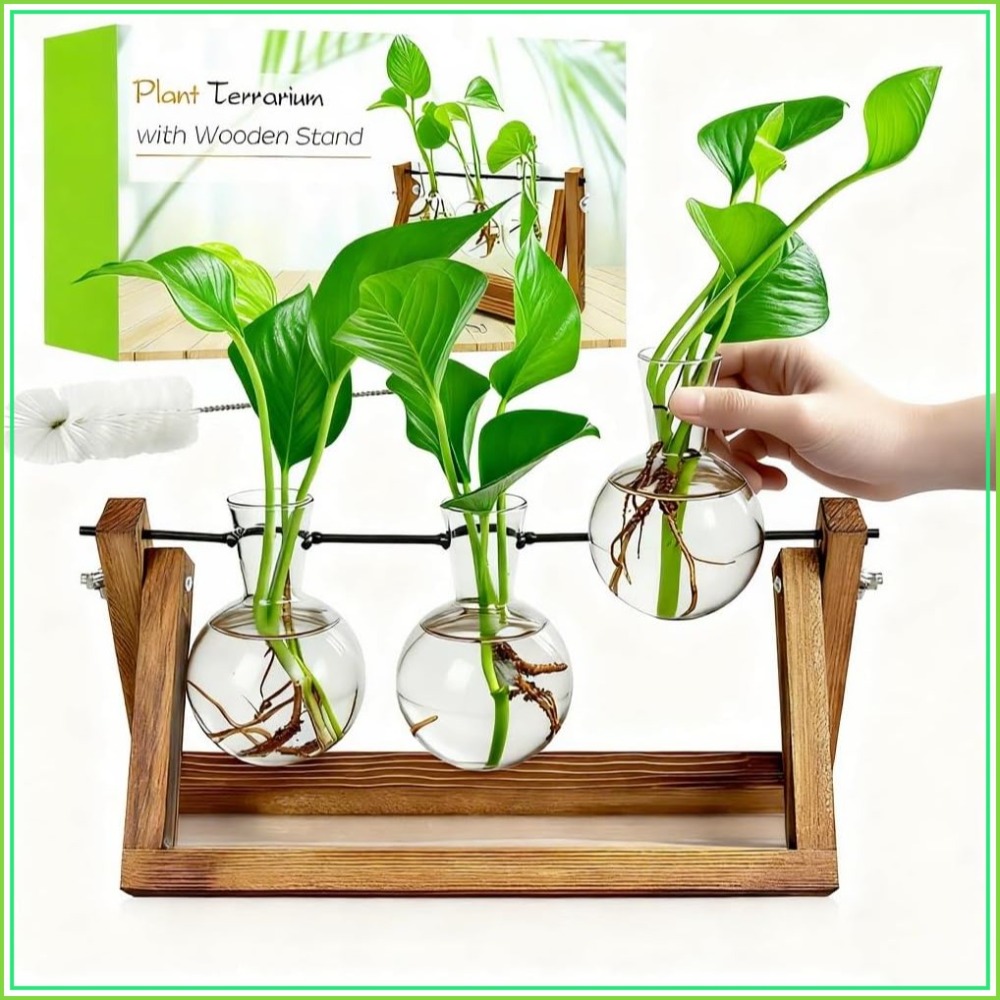 Plant Propagation Station with - Propagation Station Vase บทวิจารณ์และราคา