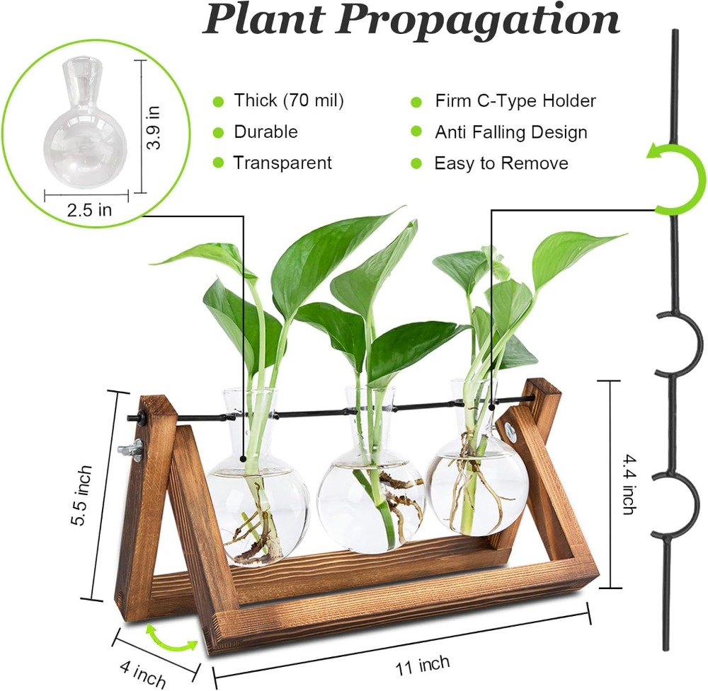 Plant Propagation Station with - Propagation Station Vase บทวิจารณ์และราคา
