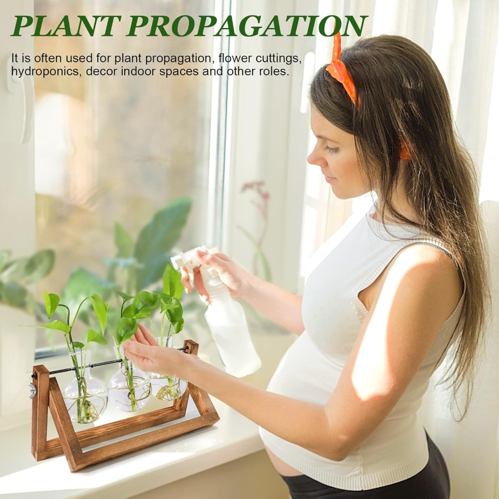 Plant Propagation Station with - Propagation Station Vase บทวิจารณ์และราคา