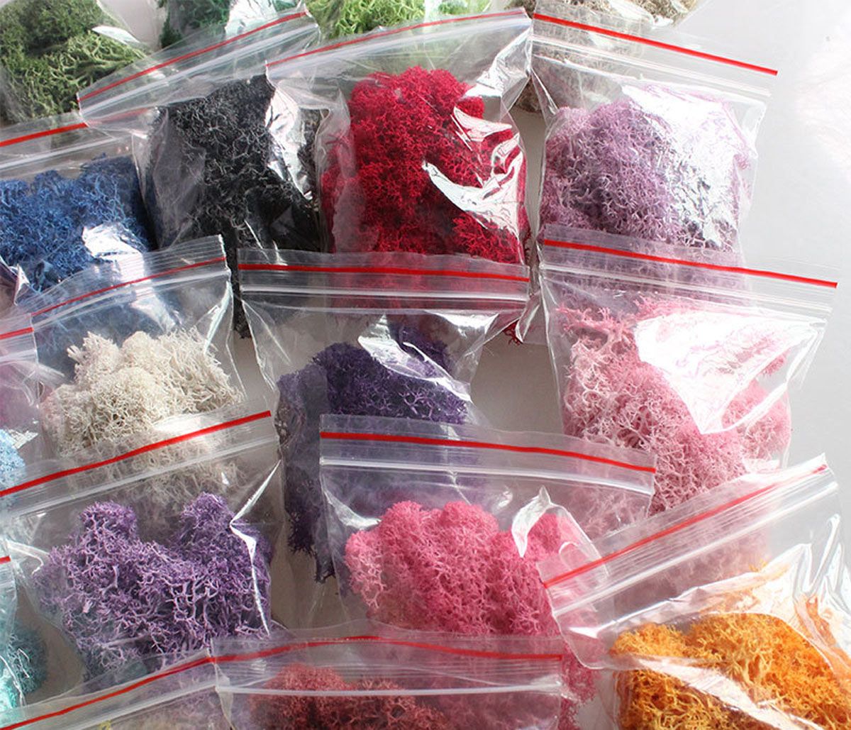 Colorful DIY Home Decor Christ - Sphagnum Moss Dry บทวิจารณ์และราคา