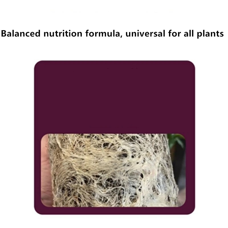 2bags Rooting Hormone Powder U - Rooting Hormone Powder บทวิจารณ์และราคา