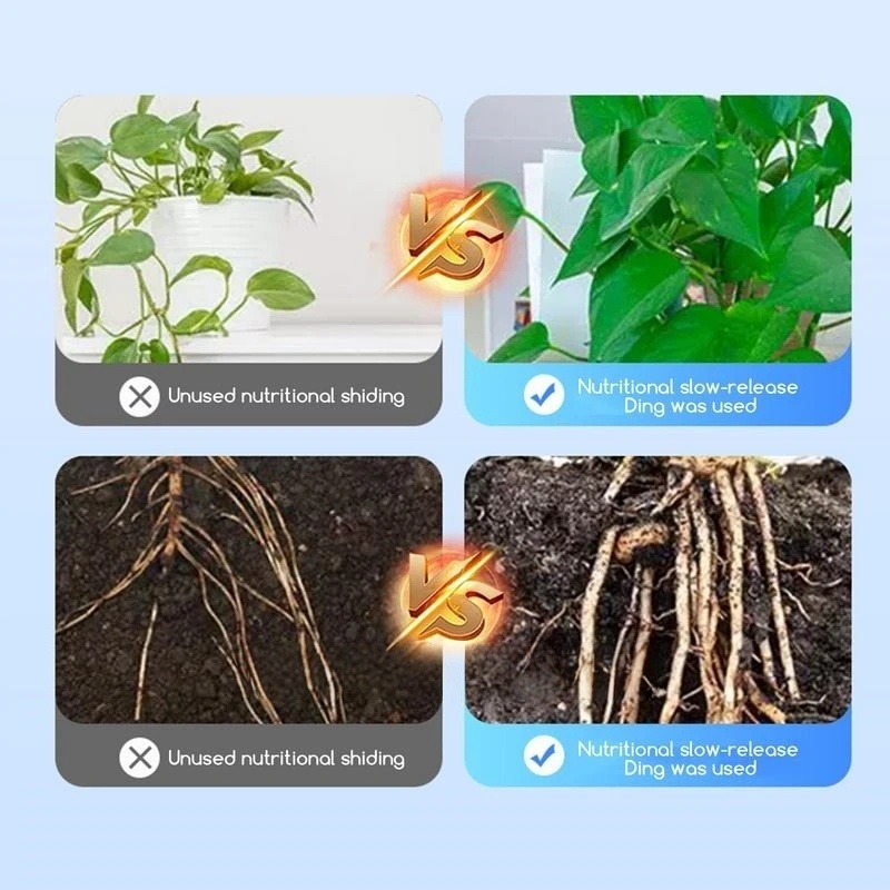 2bags Rooting Hormone Powder U - Rooting Hormone Powder บทวิจารณ์และราคา