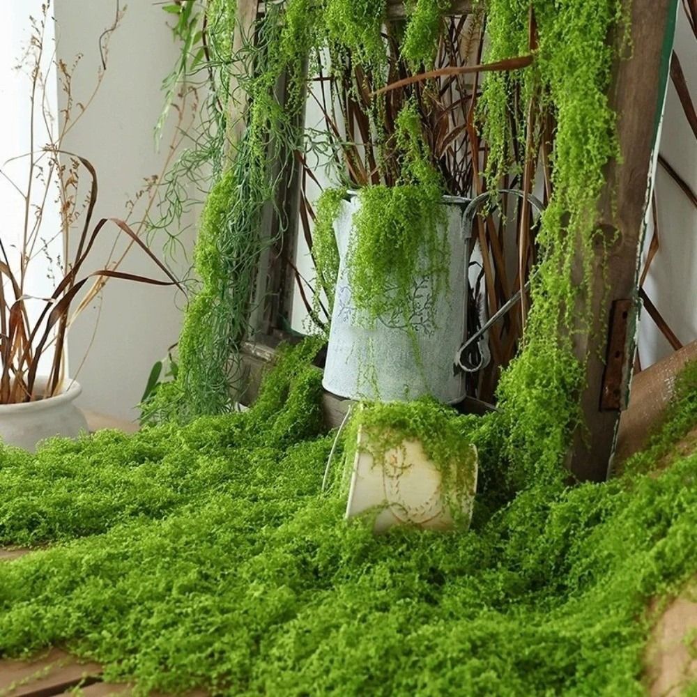 DIY Artificial Grass Rug Durab - Sphagnum Moss Dry บทวิจารณ์และราคา