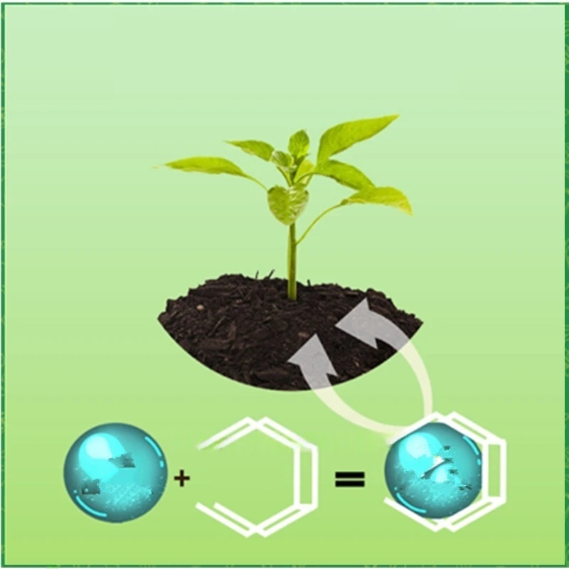 500g High-strength Rooting Hor - Rooting Hormone Powder บทวิจารณ์และราคา