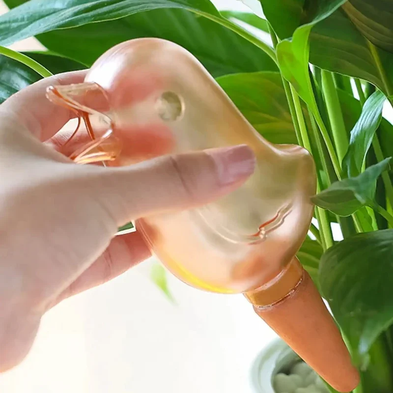 High quality automatic flower  - Self Watering Insert บทวิจารณ์และราคา