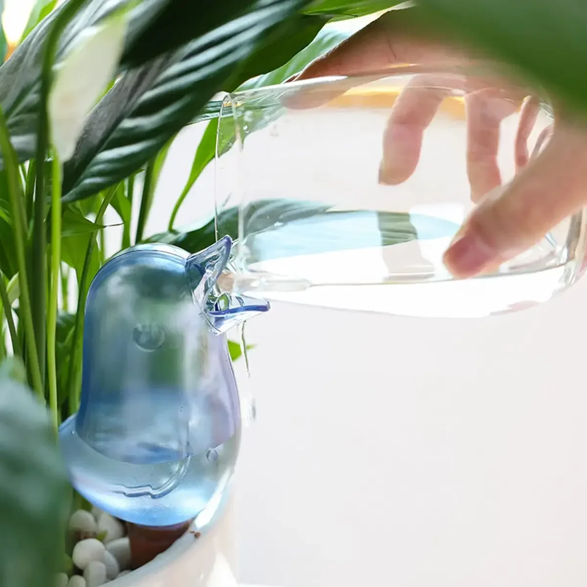 High quality automatic flower  - Self Watering Insert บทวิจารณ์และราคา