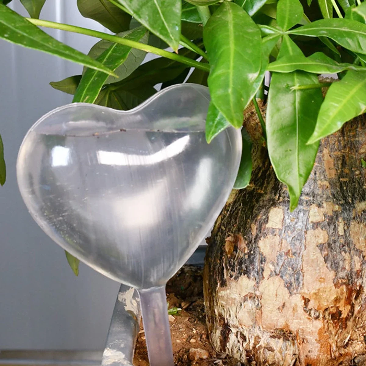 1pc Automatic Plant Watering B - Self Watering Insert บทวิจารณ์และราคา