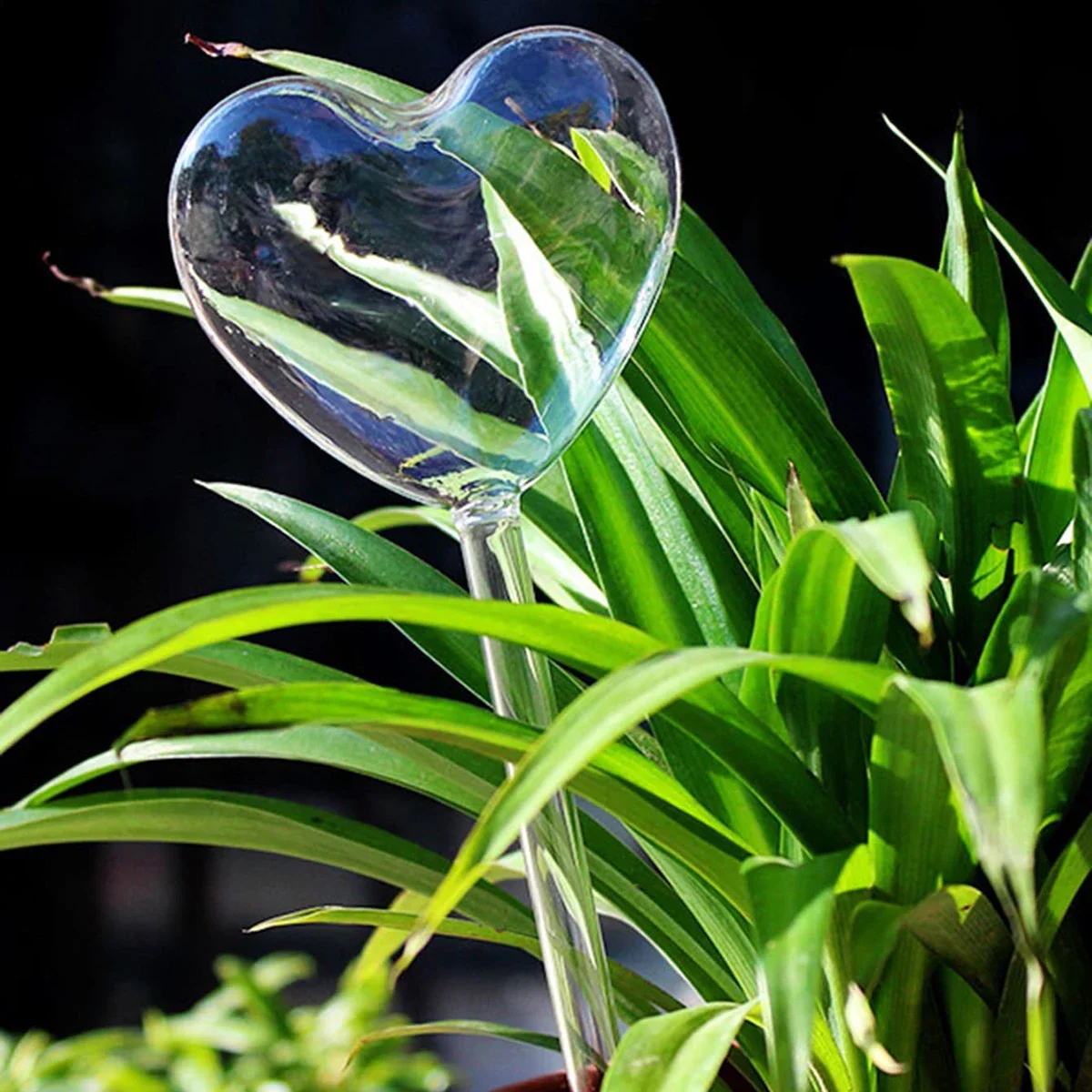 1pc Automatic Plant Watering B - Self Watering Insert บทวิจารณ์และราคา