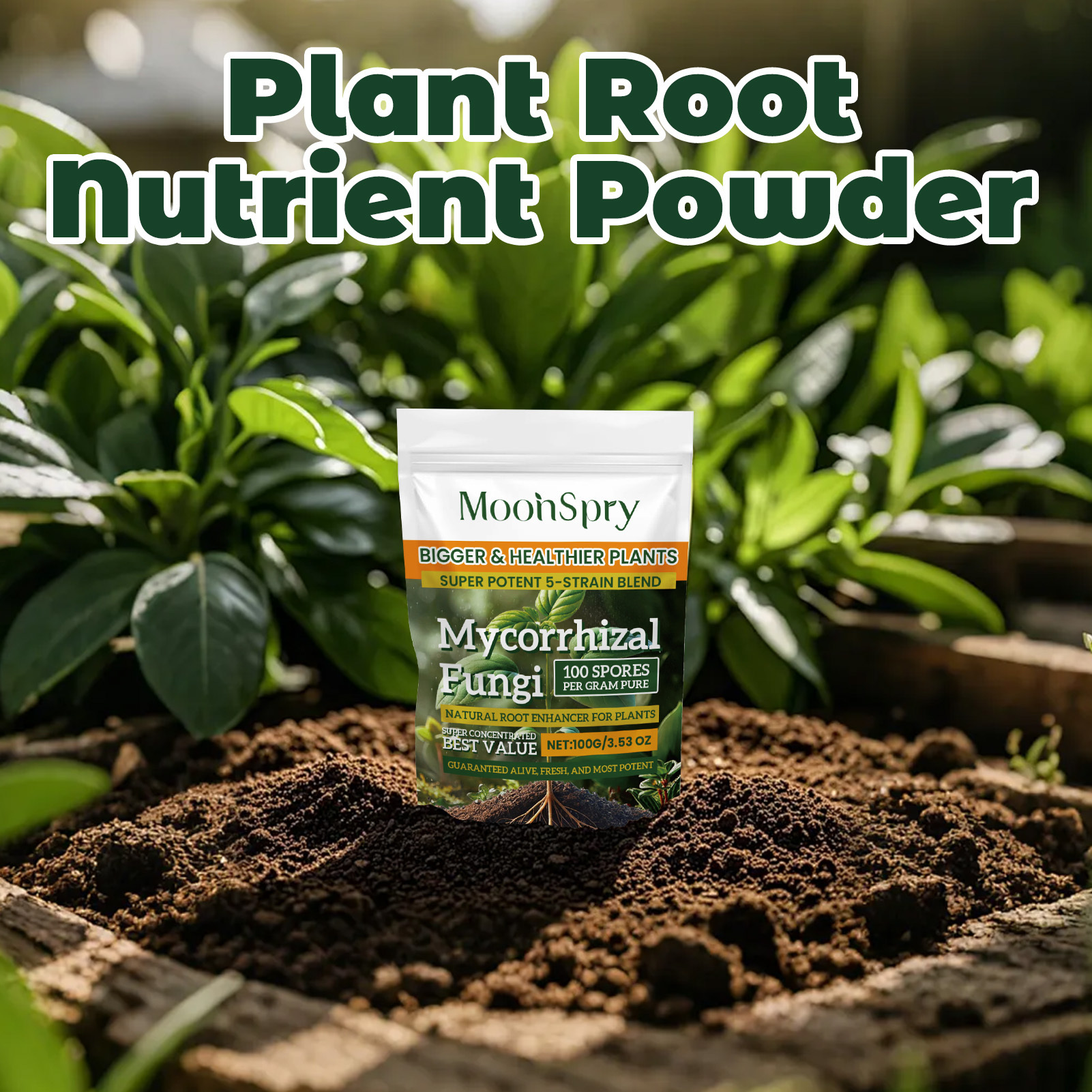 3Pack Root Stimulator Powder f - Rooting Hormone Powder บทวิจารณ์และราคา
