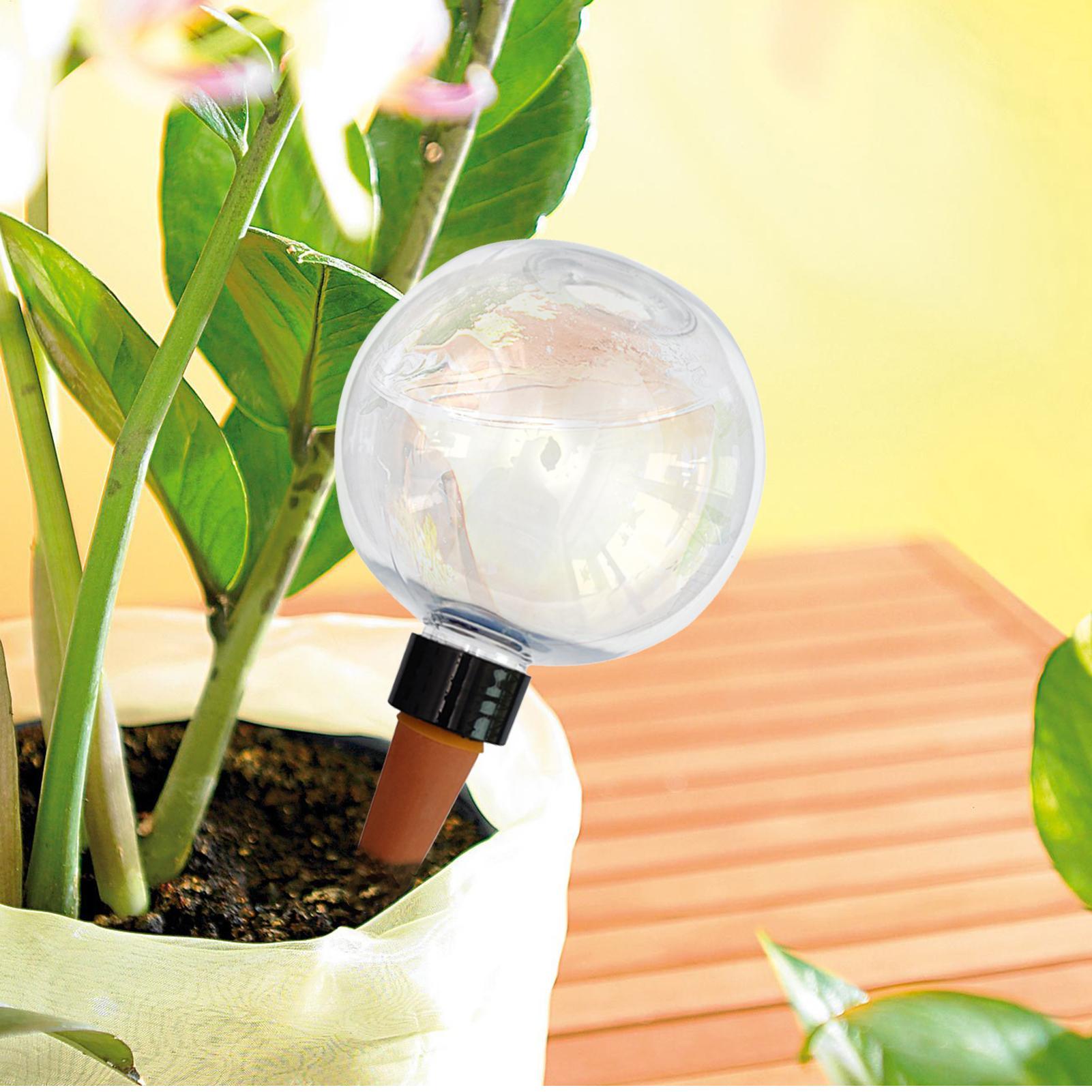 500ml Automatic Plant Watering - Self Watering Insert บทวิจารณ์และราคา