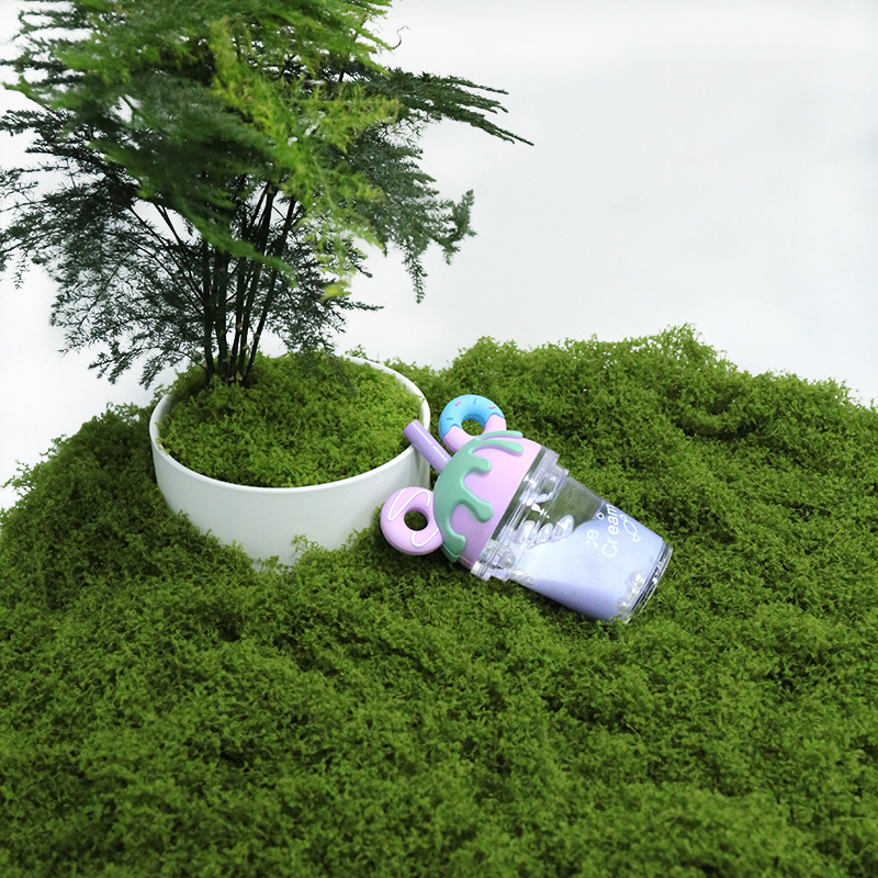 【P】50g Fake Moss DIY Crafts Gr - Sphagnum Moss Dry บทวิจารณ์และราคา