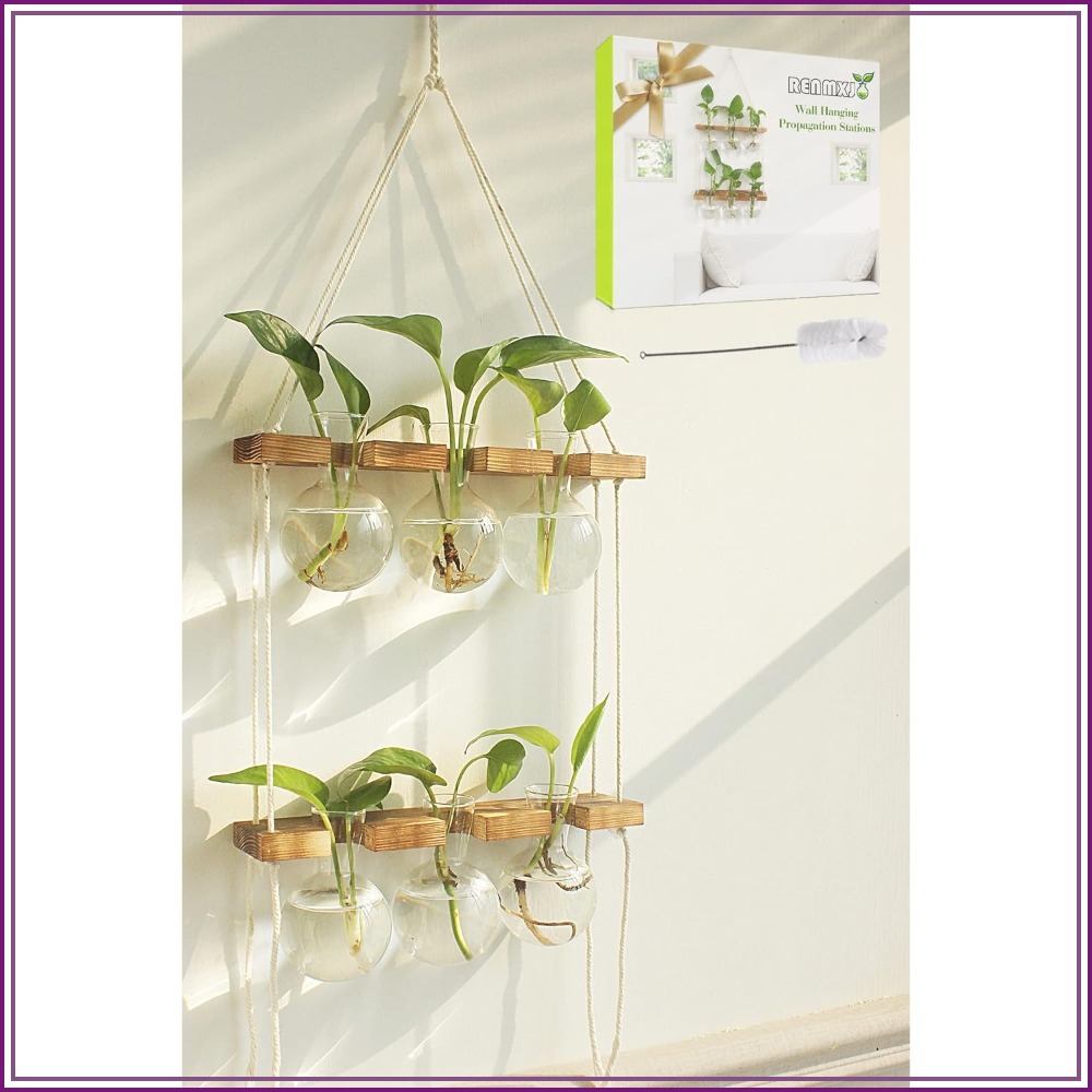Wall Hanging Plant Propagation - Propagation Station Vase บทวิจารณ์และราคา