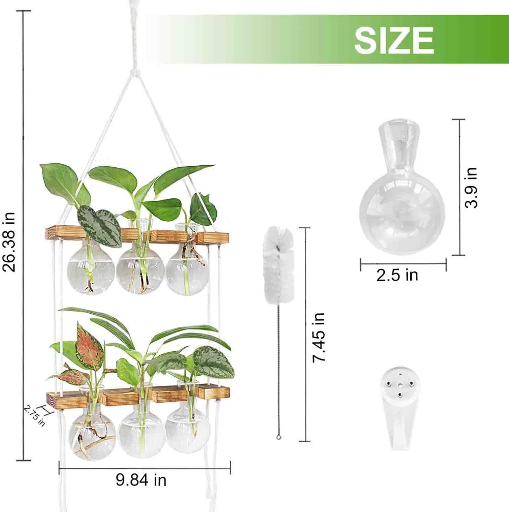 Wall Hanging Plant Propagation - Propagation Station Vase บทวิจารณ์และราคา
