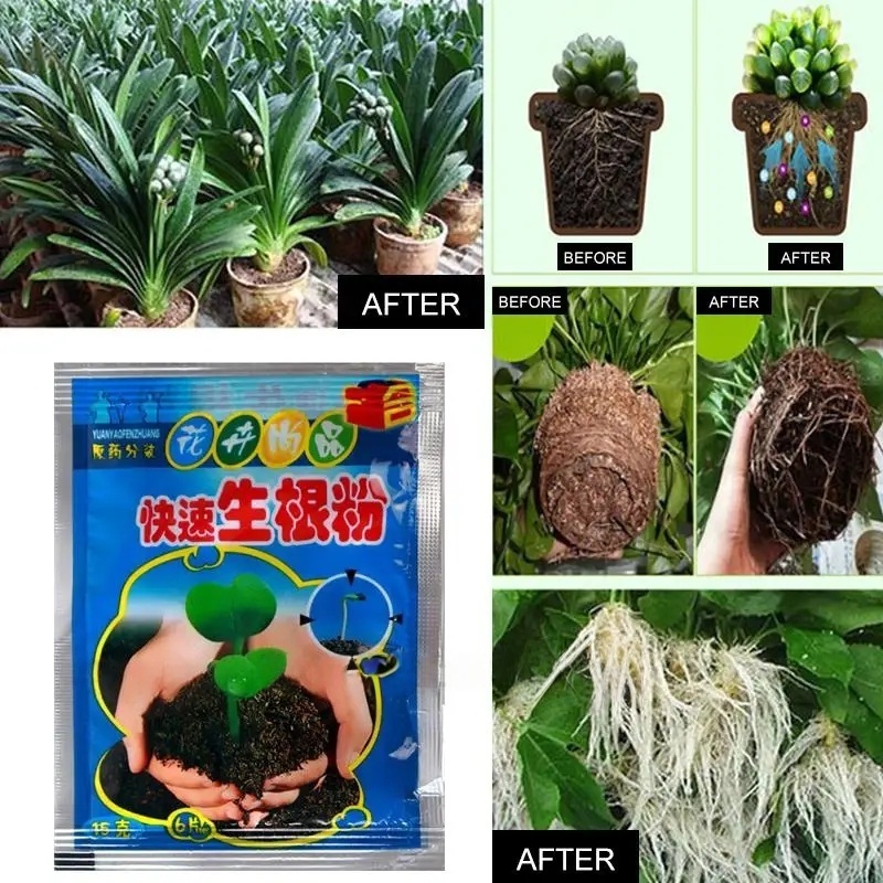 5pcs Fast Rooting Powder Plant - Rooting Hormone Powder บทวิจารณ์และราคา