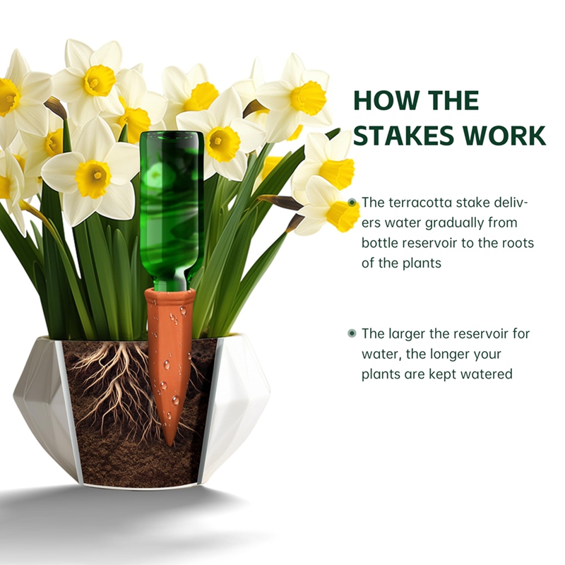 Terracotta Watering Spikes,Win - Self Watering Insert บทวิจารณ์และราคา