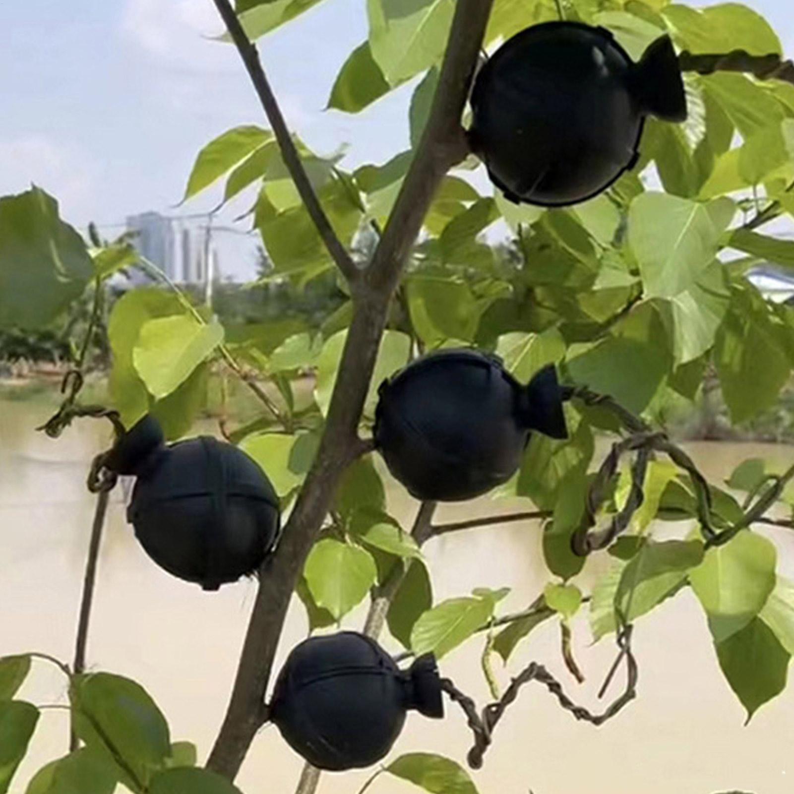 Garden Orchard Plants Grafting - Rooting Gel Clone บทวิจารณ์และราคา