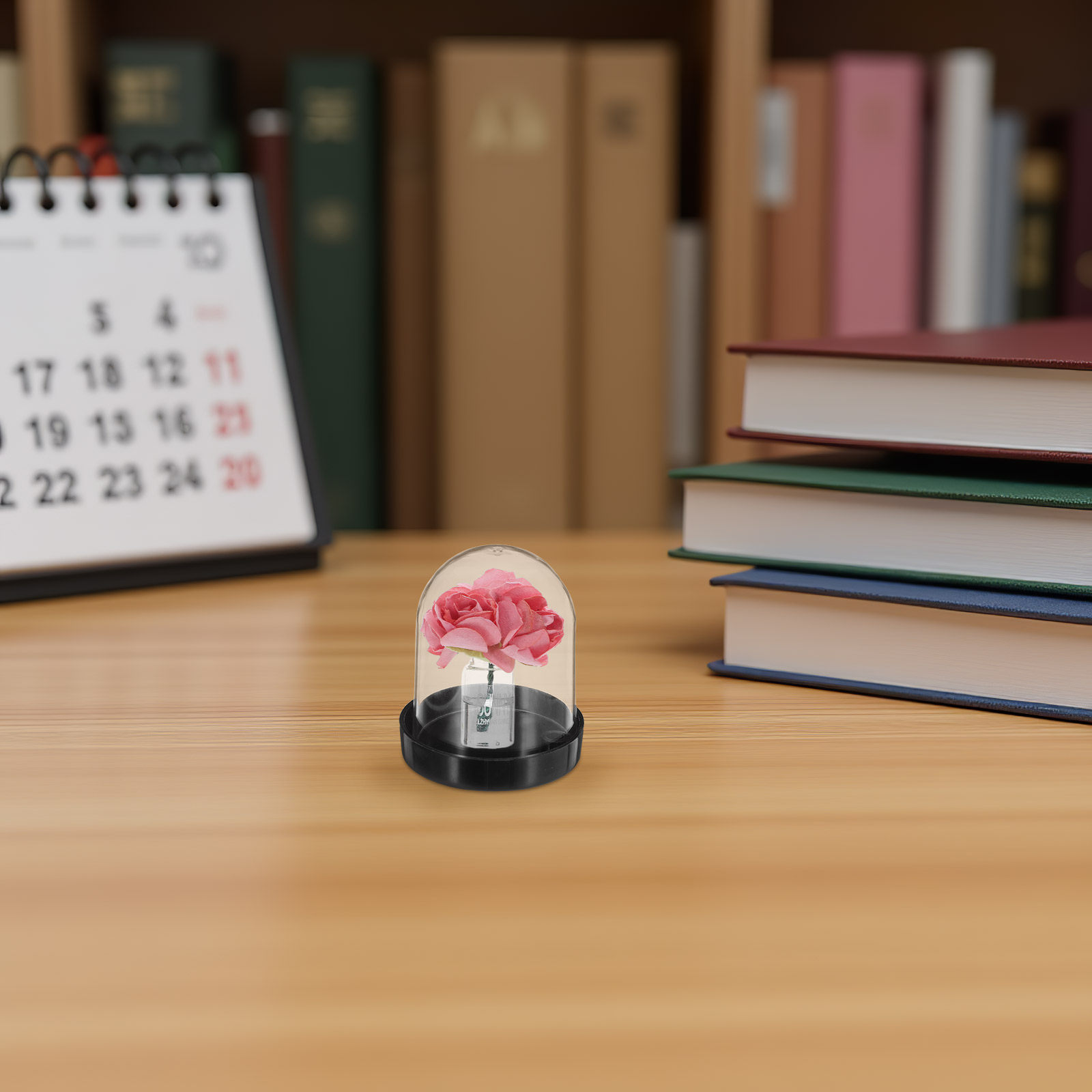 4Pcs Clear Micro Landscape Dom - Plastic Dome Clear บทวิจารณ์และราคา