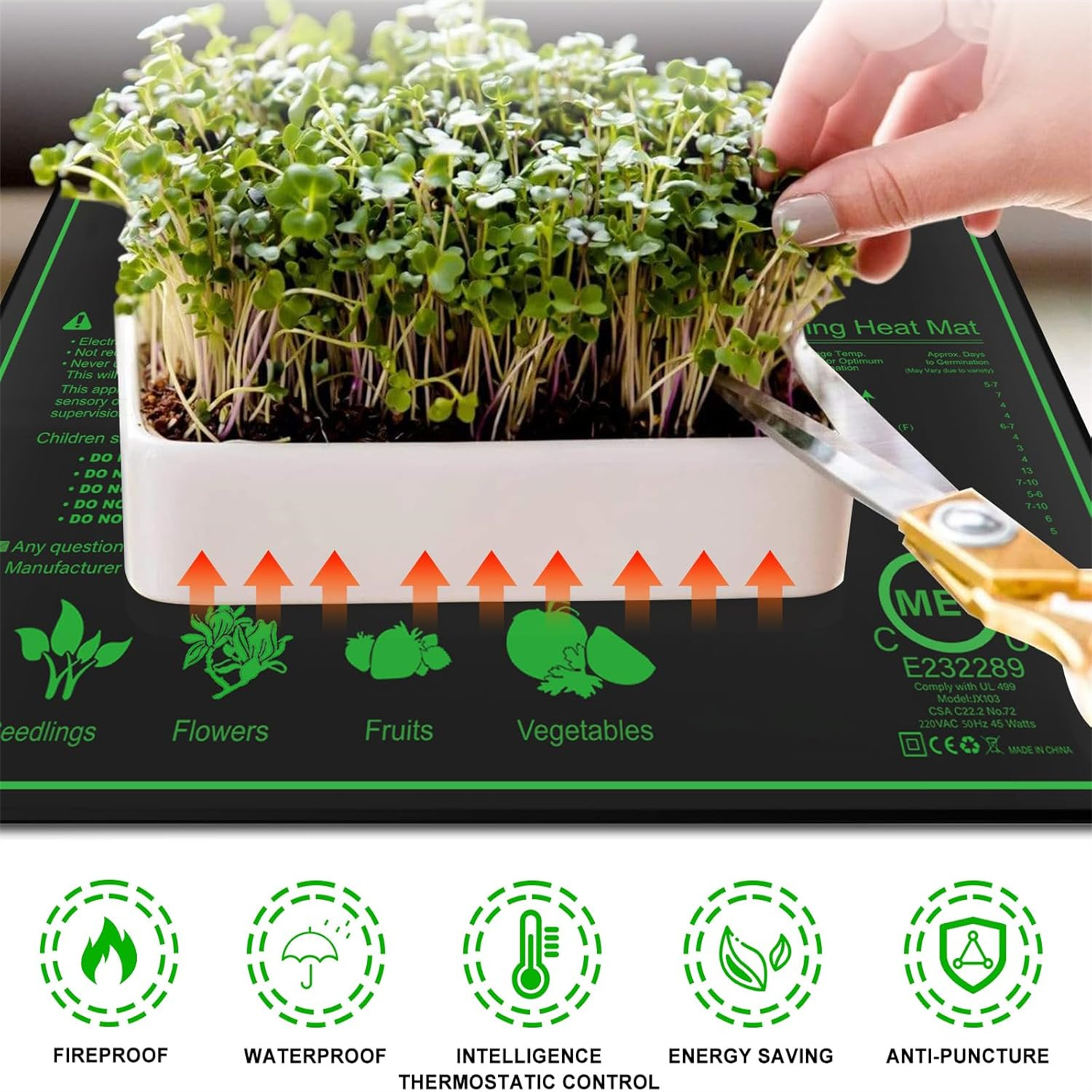Seedling Heat Mat 10/25/50CM I - Rooting Gel Clone บทวิจารณ์และราคา