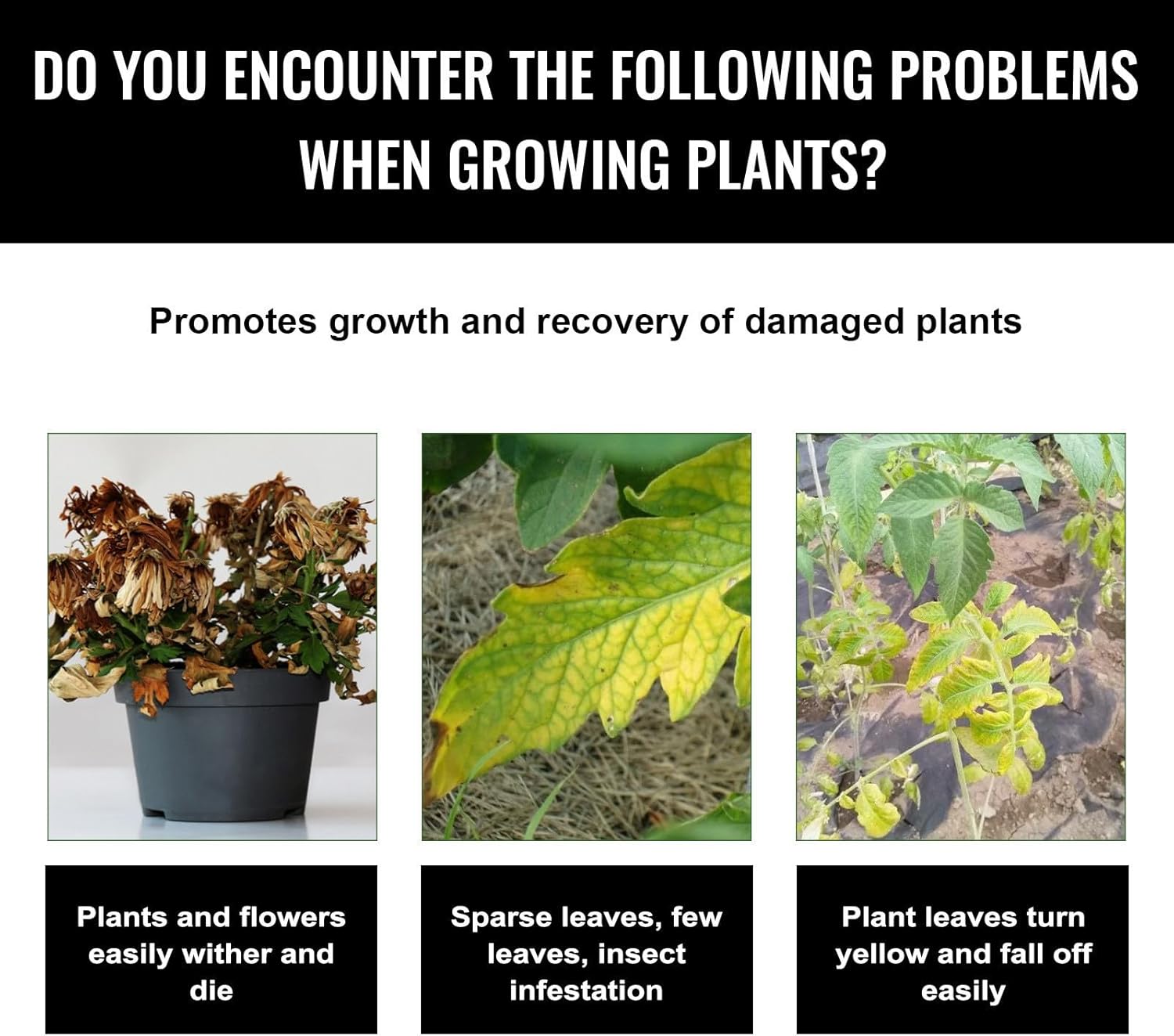 Liquid Plant Growth Enhancers  - Root Stimulator Liquid บทวิจารณ์และราคา