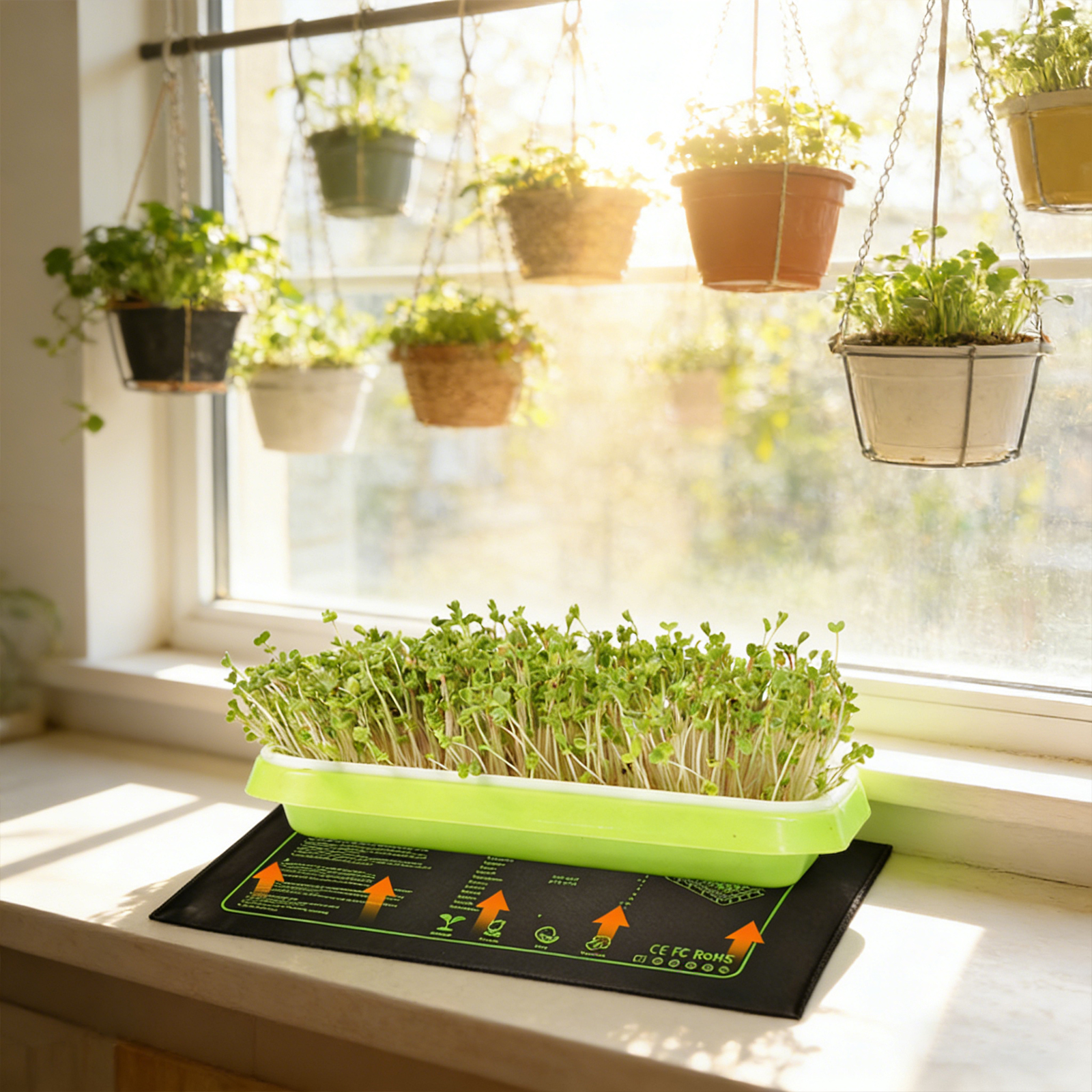 Waterproof Seedling Heat Mat 1 - Heat Mat Seedling บทวิจารณ์และราคา