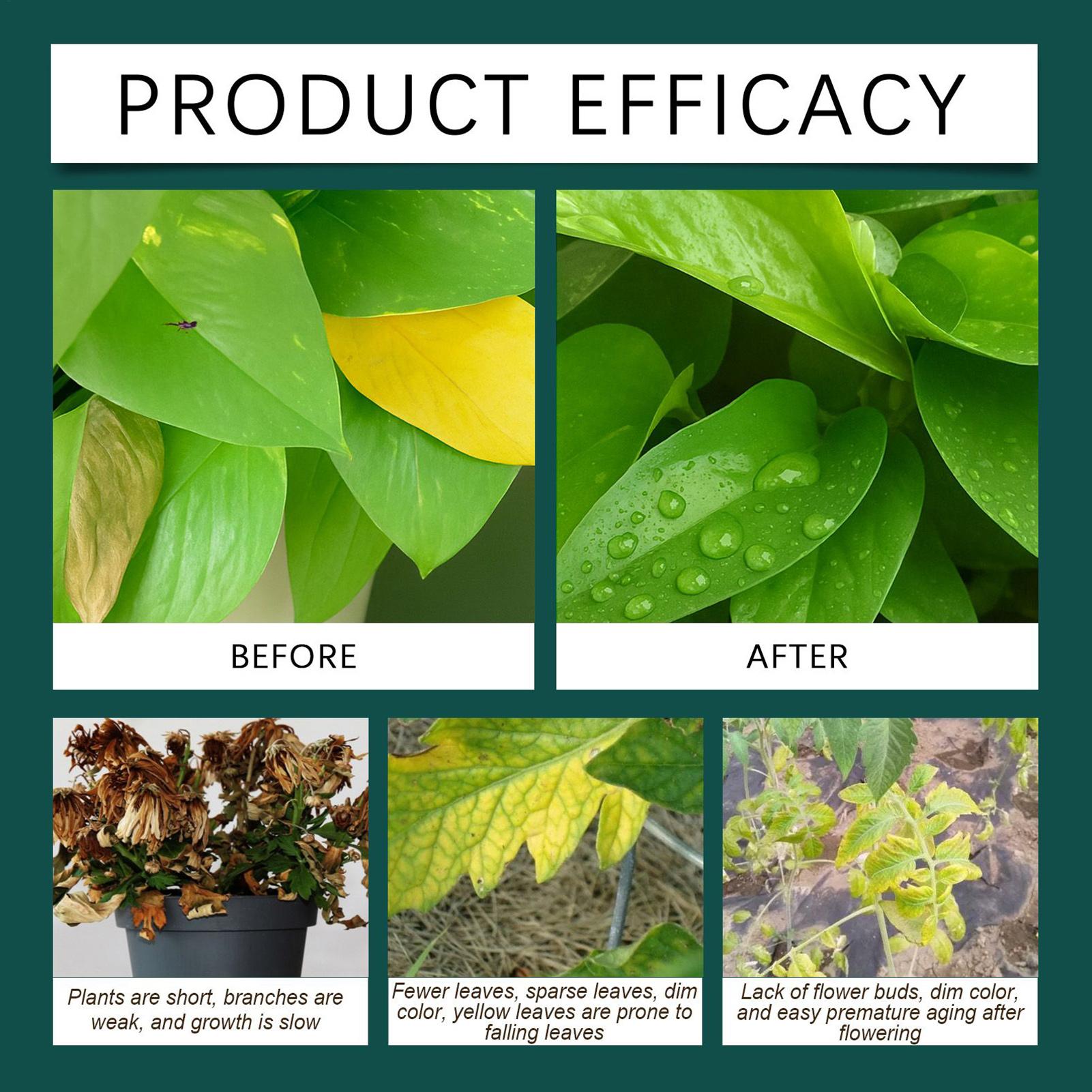 100ml Plant Rooting Liquid Dro - Root Stimulator Liquid บทวิจารณ์และราคา